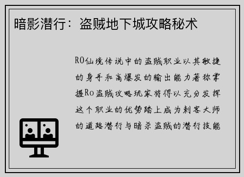 暗影潜行：盗贼地下城攻略秘术